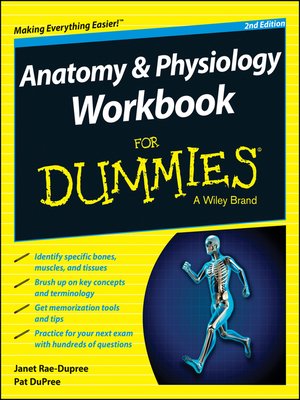 Anatomy and Physiology Workbook For Dummies - ebook
